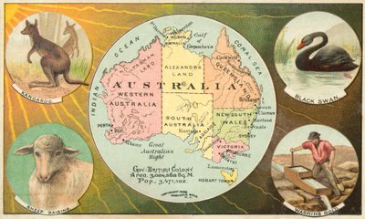 Australie - American School
